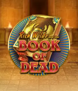 Dive into the thrilling world of Book of Dead by Play'n GO, presenting vivid graphics of Rich Wilde's journey through ancient Egyptian tombs and artifacts. Uncover lost riches with engaging mechanics like free spins, expanding icons, and a gamble option. Ideal for those seeking adventure with a desire for unearthing secrets.